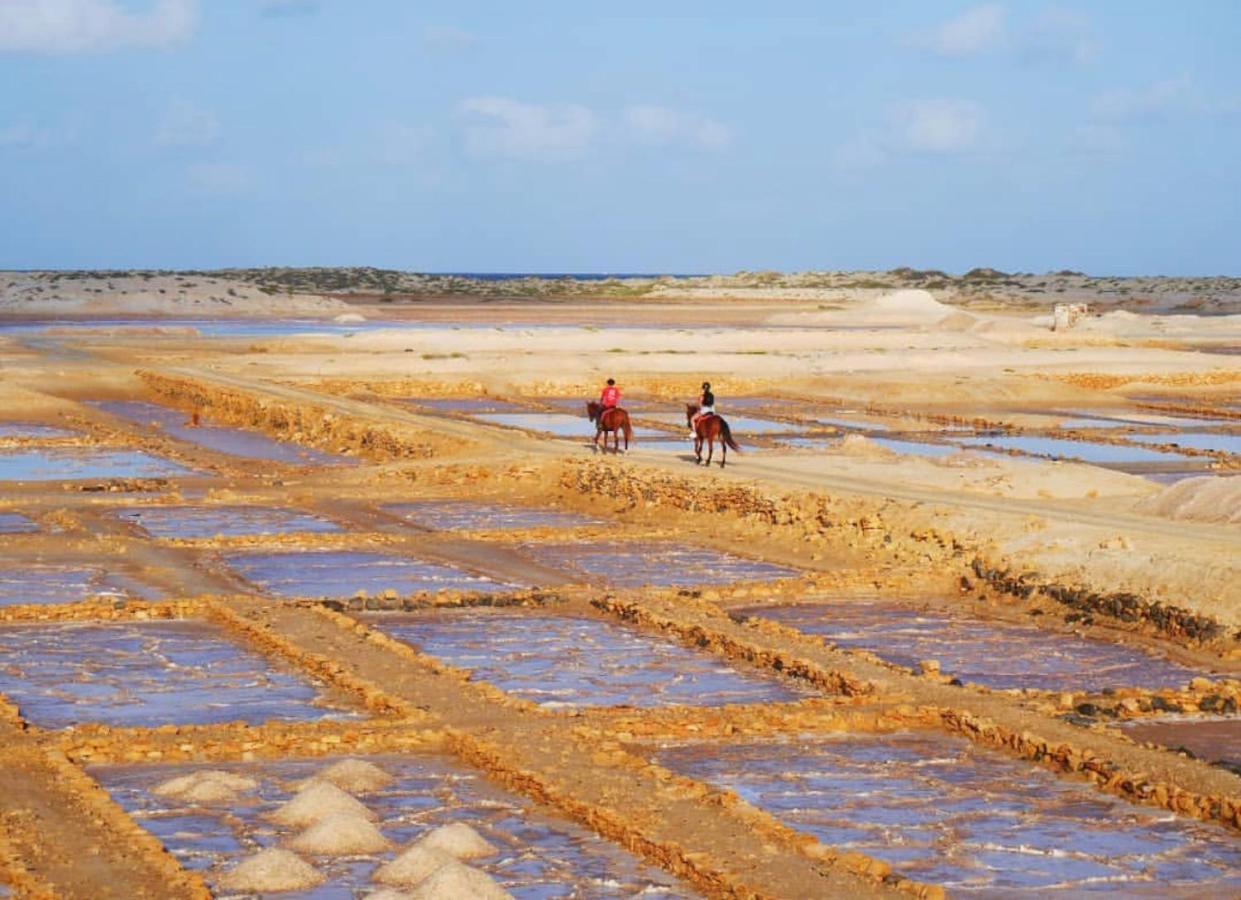 Salzen Portas De Sol Διαμέρισμα Santa Maria Εξωτερικό φωτογραφία