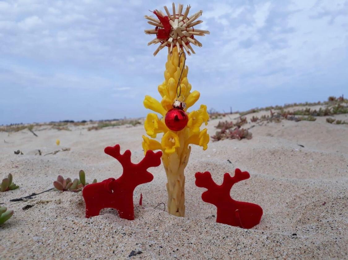 Salzen Portas De Sol Διαμέρισμα Santa Maria Εξωτερικό φωτογραφία